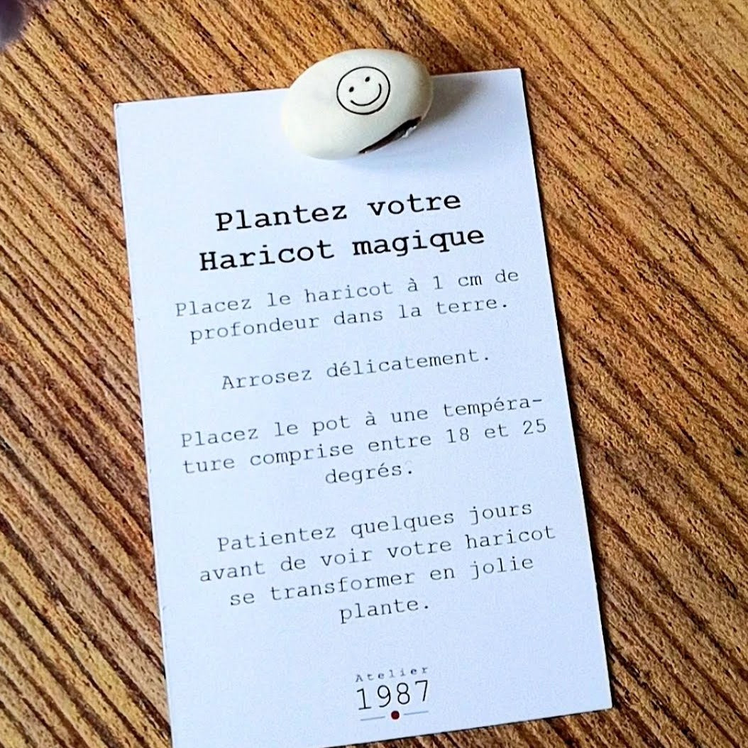 Haricot Magique -  Cadeau Merci