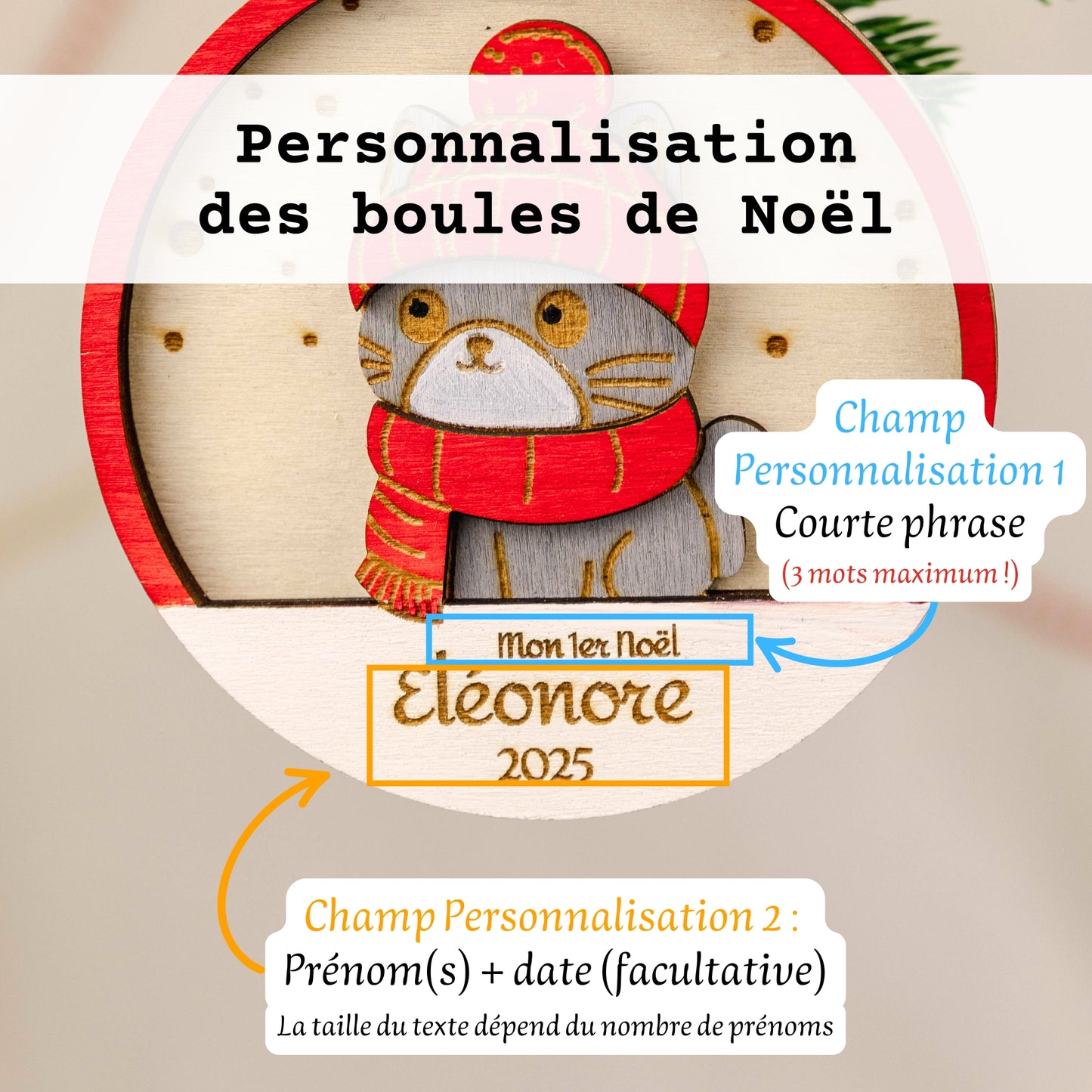 Boule de Noël 3D personnalisée – chat