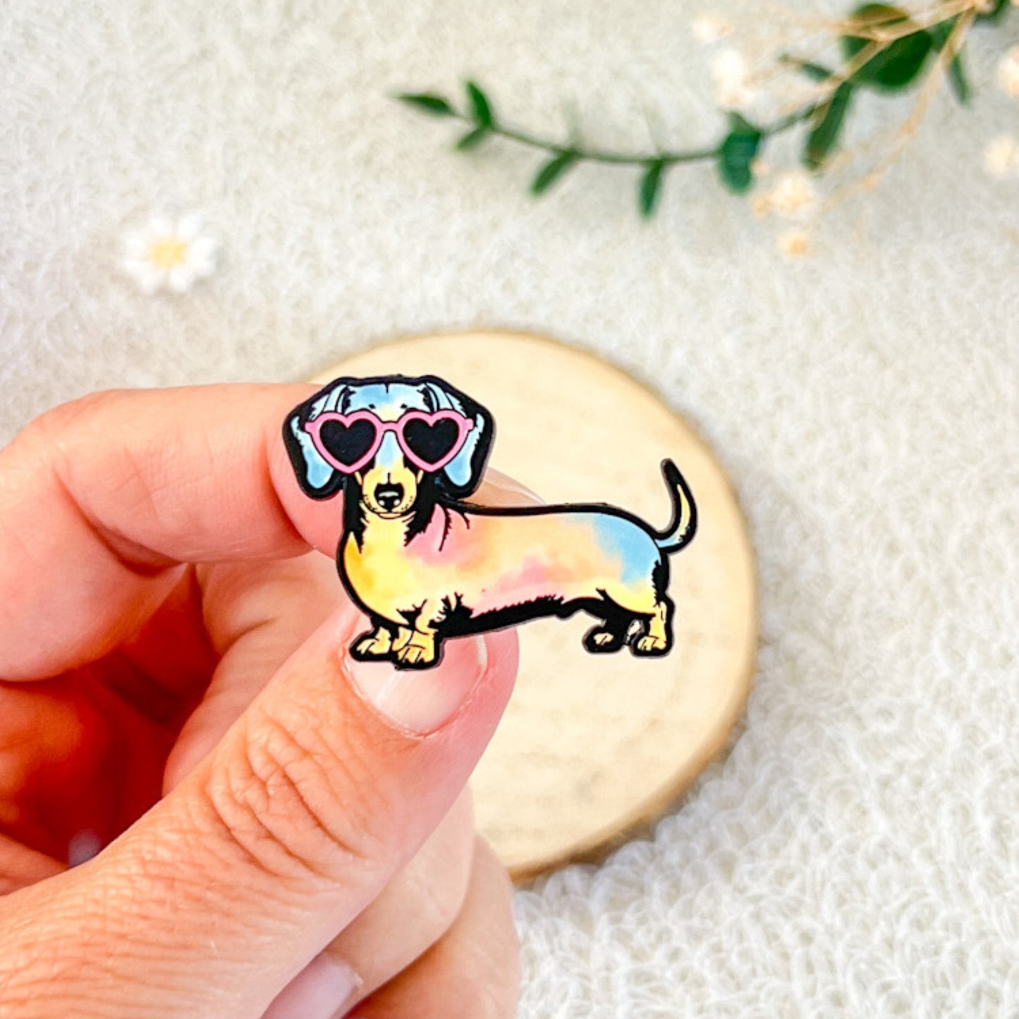 Pin’s chien teckel