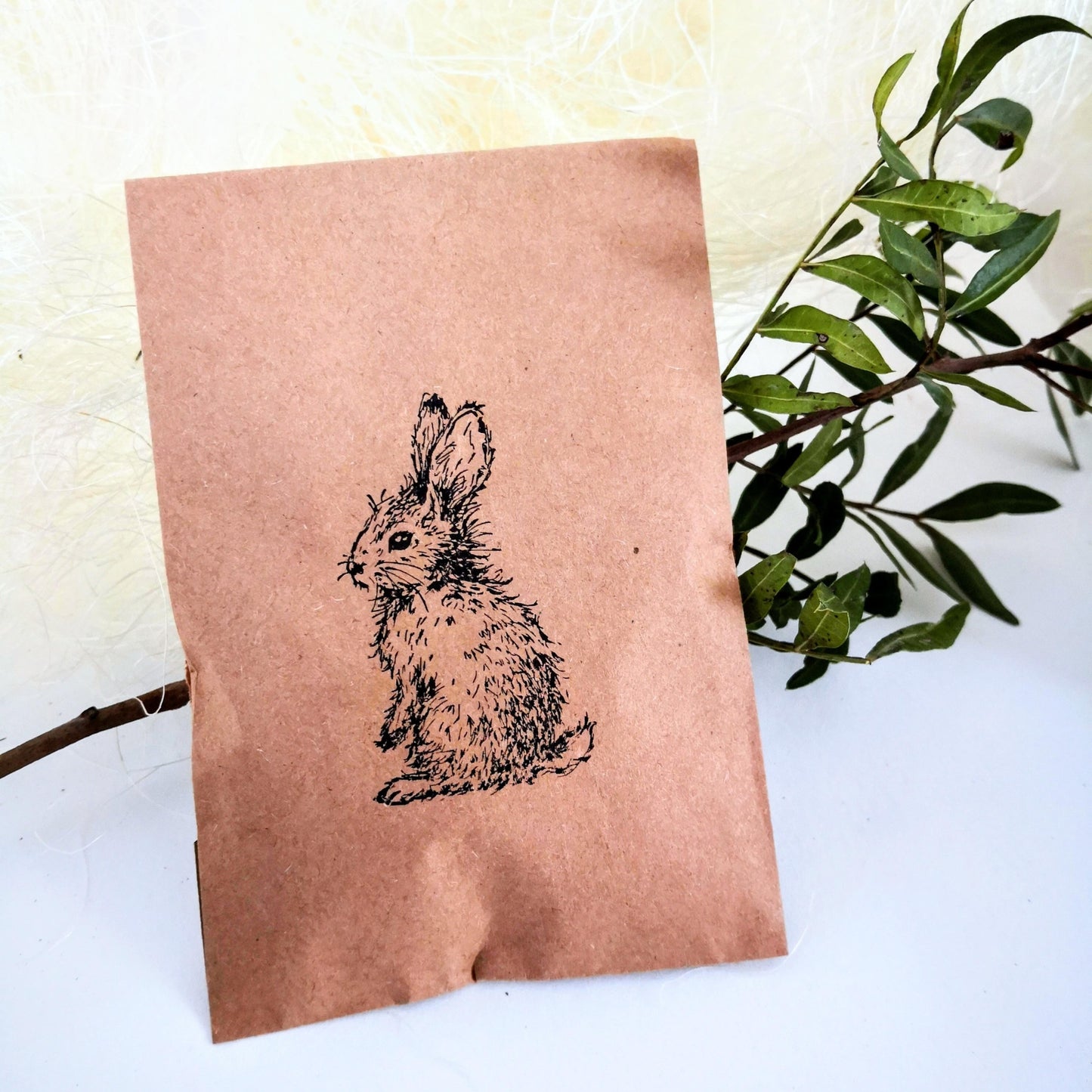 Box Carottes du Lapin de Pâques