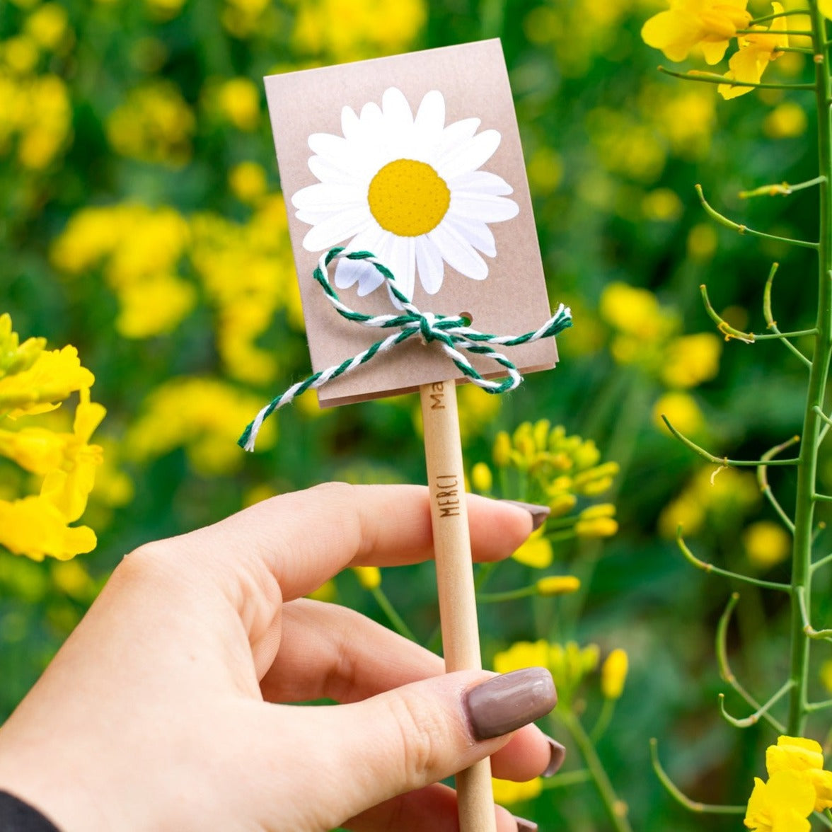 crayon à planter - cadeau maîtresse